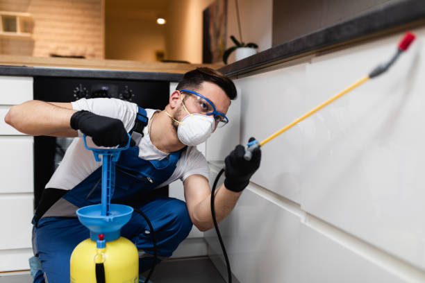 Best Affordable Exterminators  in Moonachie, NJ